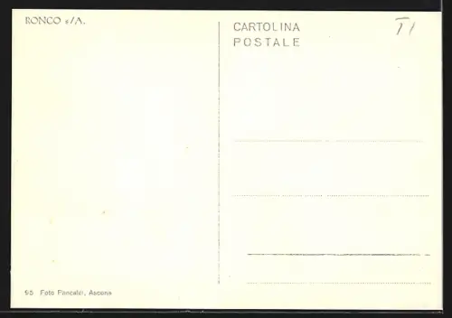 AK Ronco s. A., Seeblick mit Bergpanorama