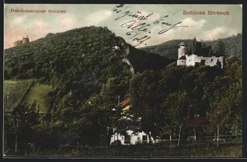 AK Birseck, Schloss Birseck und das Reichensteiner Schloss