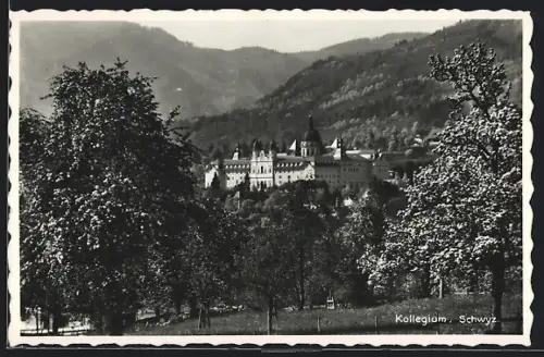 AK Schwyz, Blick auf das Kollegium aus dem Grünen
