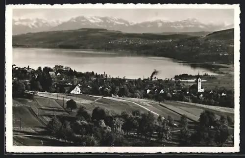 AK Seengen, Panoramablick auf Ort und Hallwilersee bis zu den Alpen