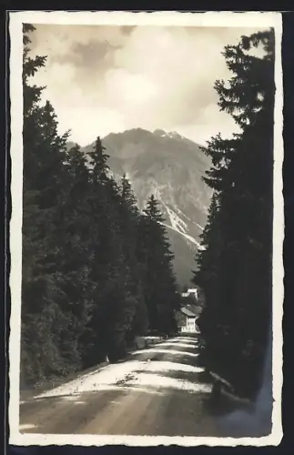 AK Lenzerheide, Waldstrasse mit Durchblick zum Berggipfel