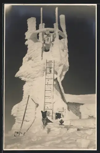 Foto-AK Säntis, Verschneiter Turm mit Hund