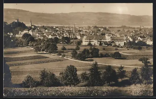 AK Uster, Ortsansicht aus dem Grünen