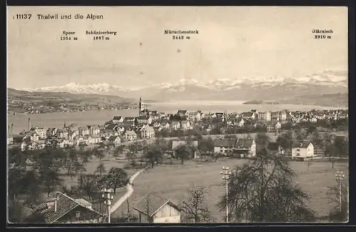 AK Thalwil, Ortsansicht mit Alpen, Speer, Schäniserberg, Mürtschenstock, Glärrnisch