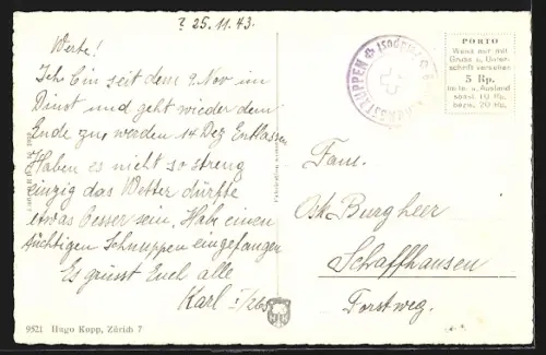 AK Rheinau, Gesamtansicht mit Insel