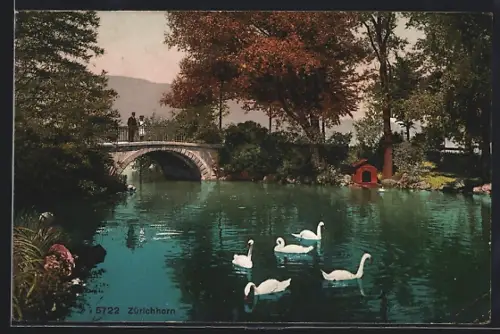 AK Zürichhorn, Brücke mit Schwänen
