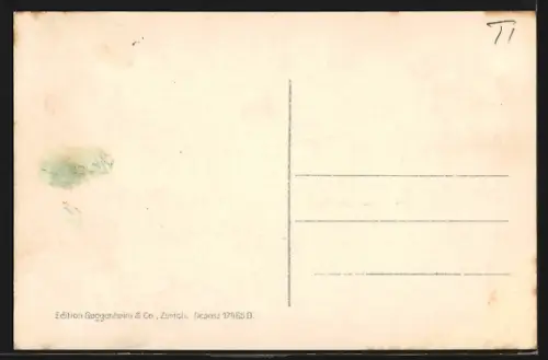 AK Locarno, Panorama