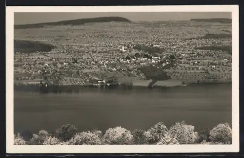 AK Meisterschwanden am Hallwilersee, Ortsansicht aus der Vogelschau