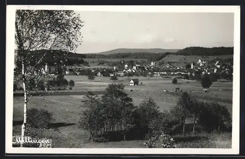 AK Mellingen, Ortspanorama mit Viehweide