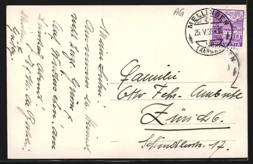 AK Mellingen, Ortspanorama mit Viehweide