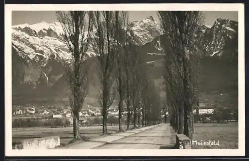 AK Maienfeld, Allee mit Bergpanorama