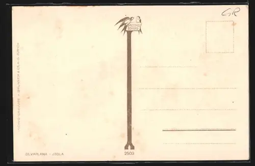 AK Silvaplana, Ortspartie aus der Vogelschau