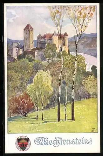 AK Deutscher Schulverein NR 296: Viechtenstein, Teilansicht