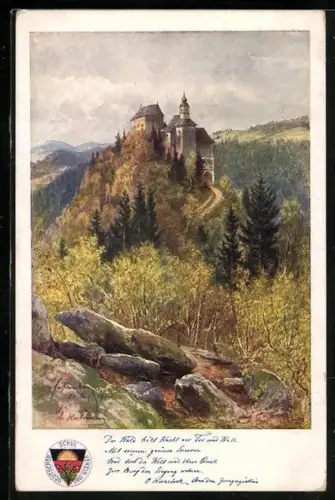 AK Deutscher Schulverein Nr.140, Kernstockreine Nr.1: Die Festenburg