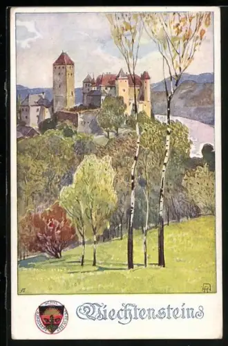 AK Deutscher Schulverein NR 296: Viechtenstein, Teilansicht