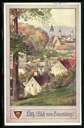 Künstler-AK Linz a. d. Donau, Ortspartie mit Kirchtürmen, Deutscher Schulverein