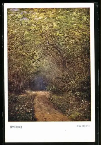 AK Deutscher Schulverein Nr. 1382: Blick auf einen Waldweg