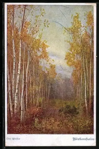 AK Deutscher Schulverein Nr.1060: Im Birkenhain
