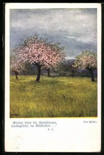 AK Deutscher Schulverein Nr. 1384: Blühende Apfelbäume auf der Wiese