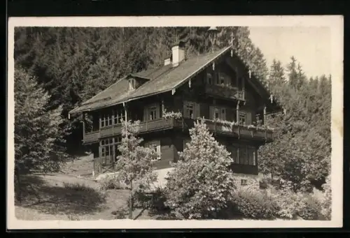 AK Kitzbühel /Tirol, Villa Waldeck am Waldesrand