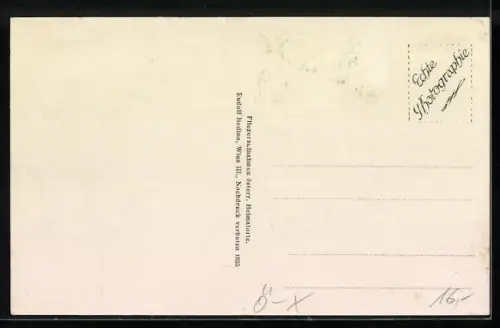 AK Mannersdorf an der Rabnitz, Liebing, Fliegeraufnahme des Ortes