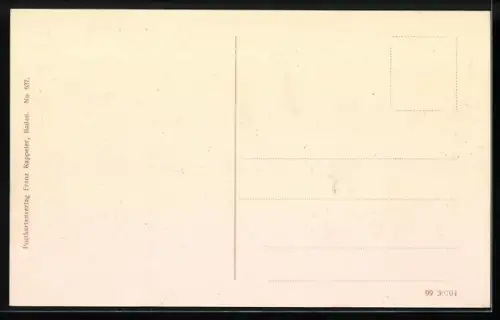 AK Baden /Schweiz, Haldenstrasse