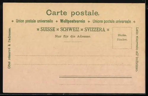 Lithographie Baden /Schweiz, Restaurant Chalet Berna, Grand Hotel, Gefängnisturm, Partie an der Limat, Ortsansicht