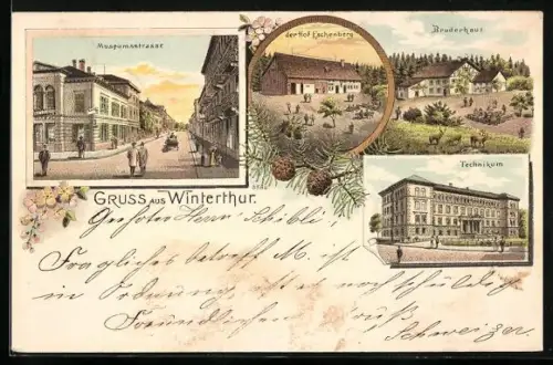 Lithographie Winterthur, Museumsstrasse, Bruderhaus, Technikum und Hof Eschenberg