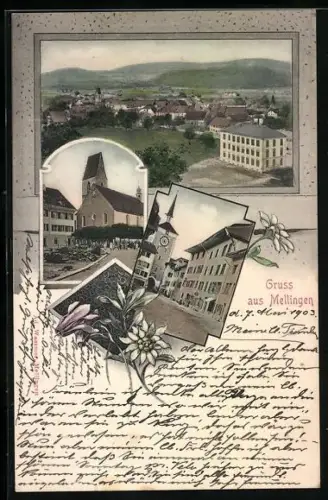 AK Mellingen, Strassenpartie, Kirche und Ortsansicht, Edelweiss und Alpenveilchen