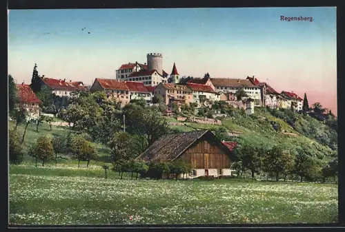 AK Regensberg, Teilansicht