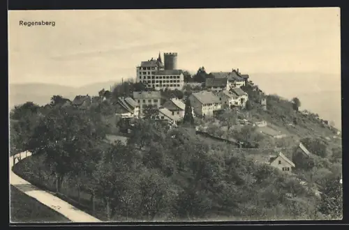 AK Regensberg, Ortsansicht mit Schloss