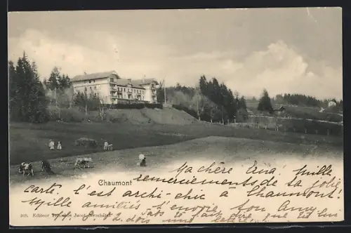 AK Chaumont /NE, Ortspartie mit Kuhweide