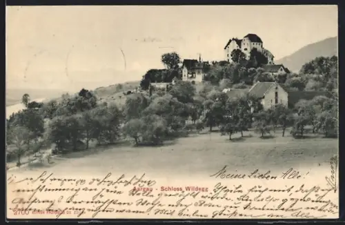 AK Wildegg, Partie am Schloss