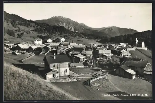 AK Feldis /Graub, Teilansicht mit Bergen