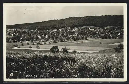 AK Fislisbach /Aarg., Teilansicht mit Blumenwiese