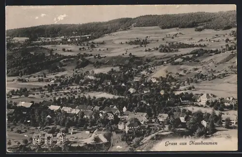 AK Nussbaumen /AG, Teilansicht mit Bäumen