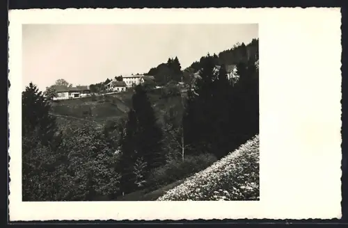 AK Schmidrüti-Wila /Zürich, Ferienkolonie