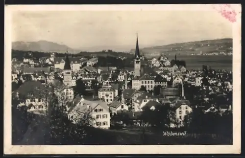 AK Wädenswil, Panorama