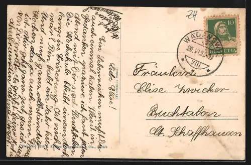 AK Wädenswil, Panorama