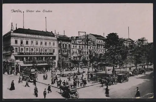 AK Berlin, Unter den Linden mit Hotel - Café Victoria, Pferdekutschen, Autobus