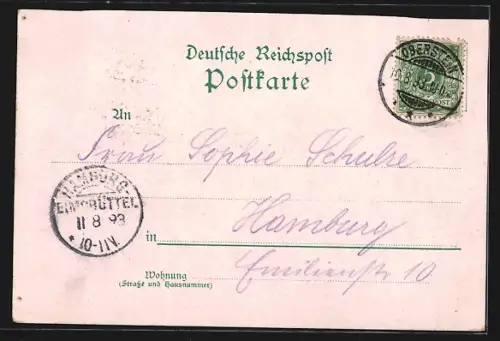 Lithographie Oberstein a. d. Nahe, Felsenkirche, Totalansicht, Neues Schloss