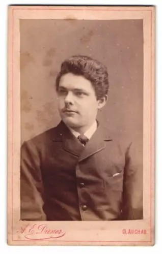 Fotografie A. E. Diener, Glauchau, Porträt eines jungen Mannes