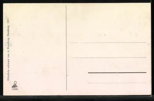 AK Mölln i. Lbg., Till Eulenspiegel, Szenen, Gedicht, Denkmal