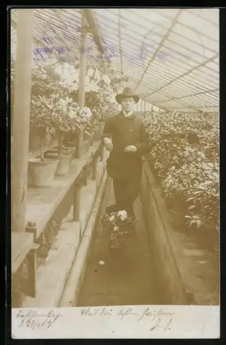 Foto-AK Dresden-Laubegast, Junger Mann in einer Laubegaster Gärtnerei