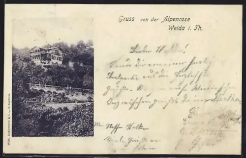 AK Weida i. Th., Gasthof Alpenrose mit Umgebung