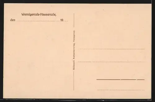 AK Wernigerode-Hasserode, Oberteil mit Hotel Steinberg u. Haus Waldfrieden