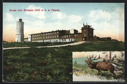 AK Brocken, Brockenhotel, Aussichtsturm, Hirsch