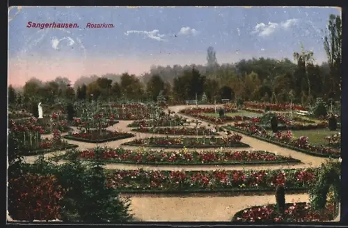 AK Sangerhausen, Rosarium