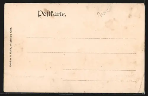 AK Tangermünde, Gesamtansicht mit Hafen