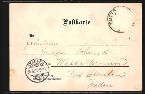 Lithographie Stuttgart, Stadtpanorama, K. Residenzschloss